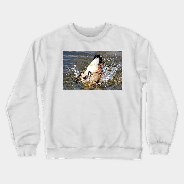 Bottom Up Splash Crewneck Sweatshirt by Cynthia48